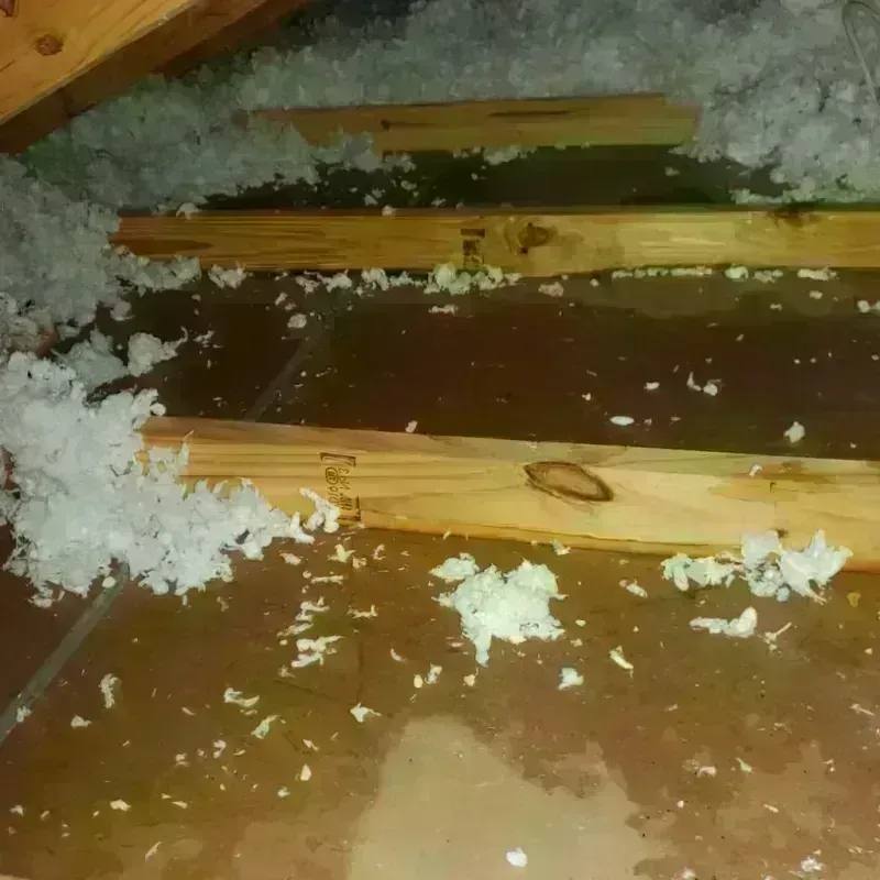 Attic Water Damage in Aurora, UT