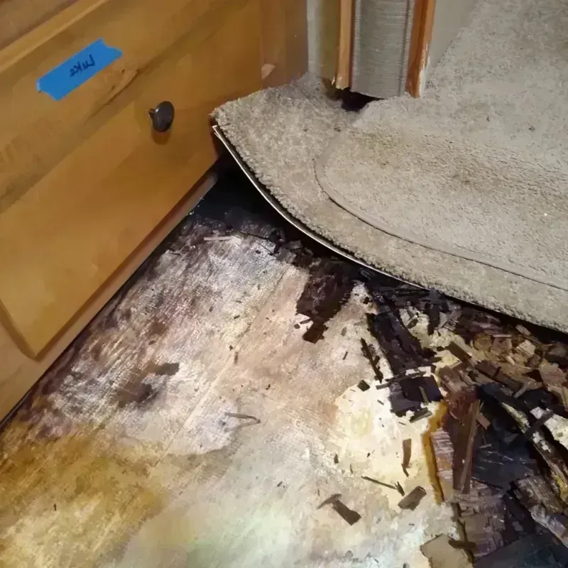 Wood Floor Water Damage in Aurora, UT